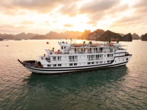 Read more about the article Cozy Bay Grand vs Stellar of the Seas: Budget vs Luxury Overnight